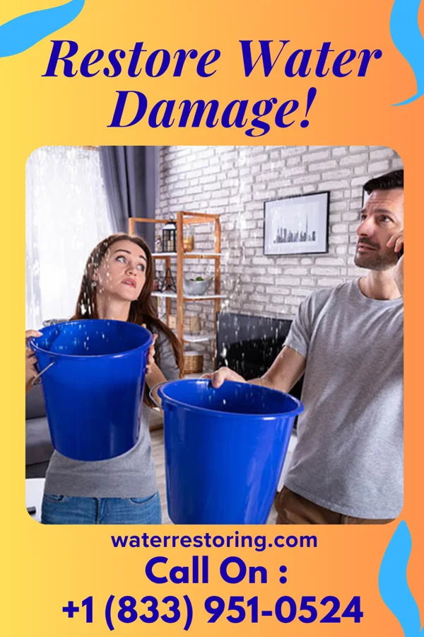 water restoration United Extraction Force Alsace Manor