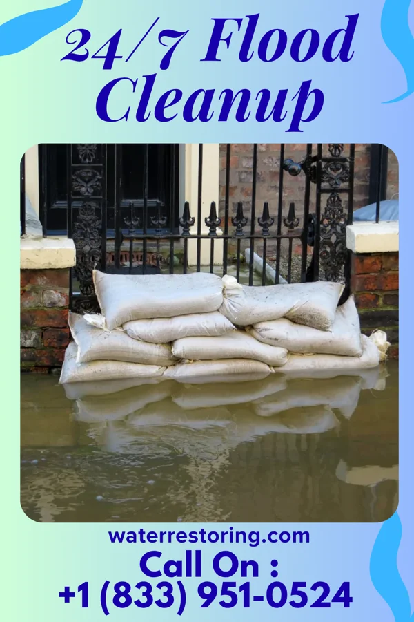 24/7 Flood Cleanup in Alsace Manor, PA