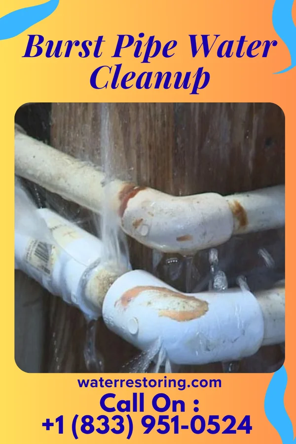 Burst Pipe Water Cleanup in Alsace Manor, PA