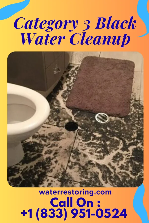 Category 3 Black Water Cleanup in Alsace Manor, PA
