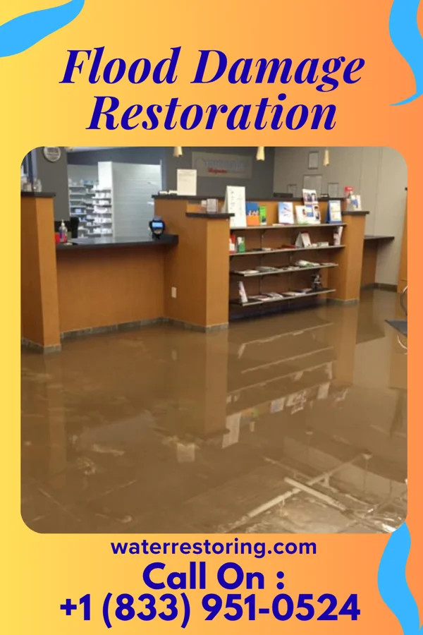 Flood Damage Restoration in Alsace Manor, PA