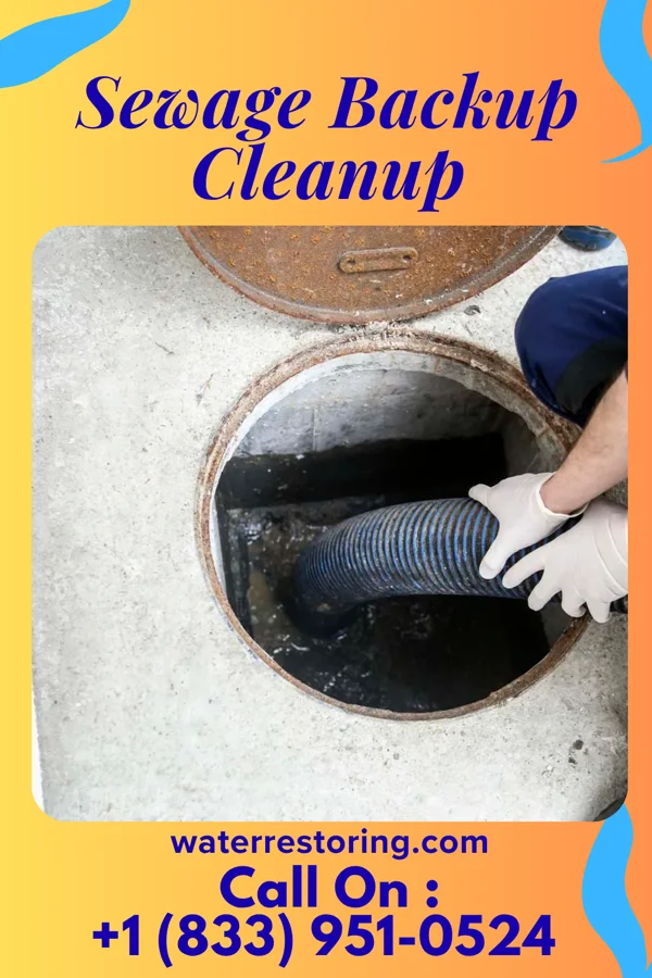 Sewage Backup Cleanup in Alsace Manor, PA