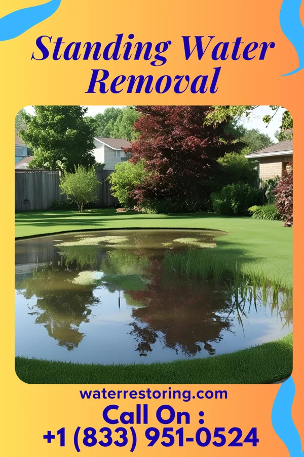 Standing Water Removal in Alsace Manor, PA
